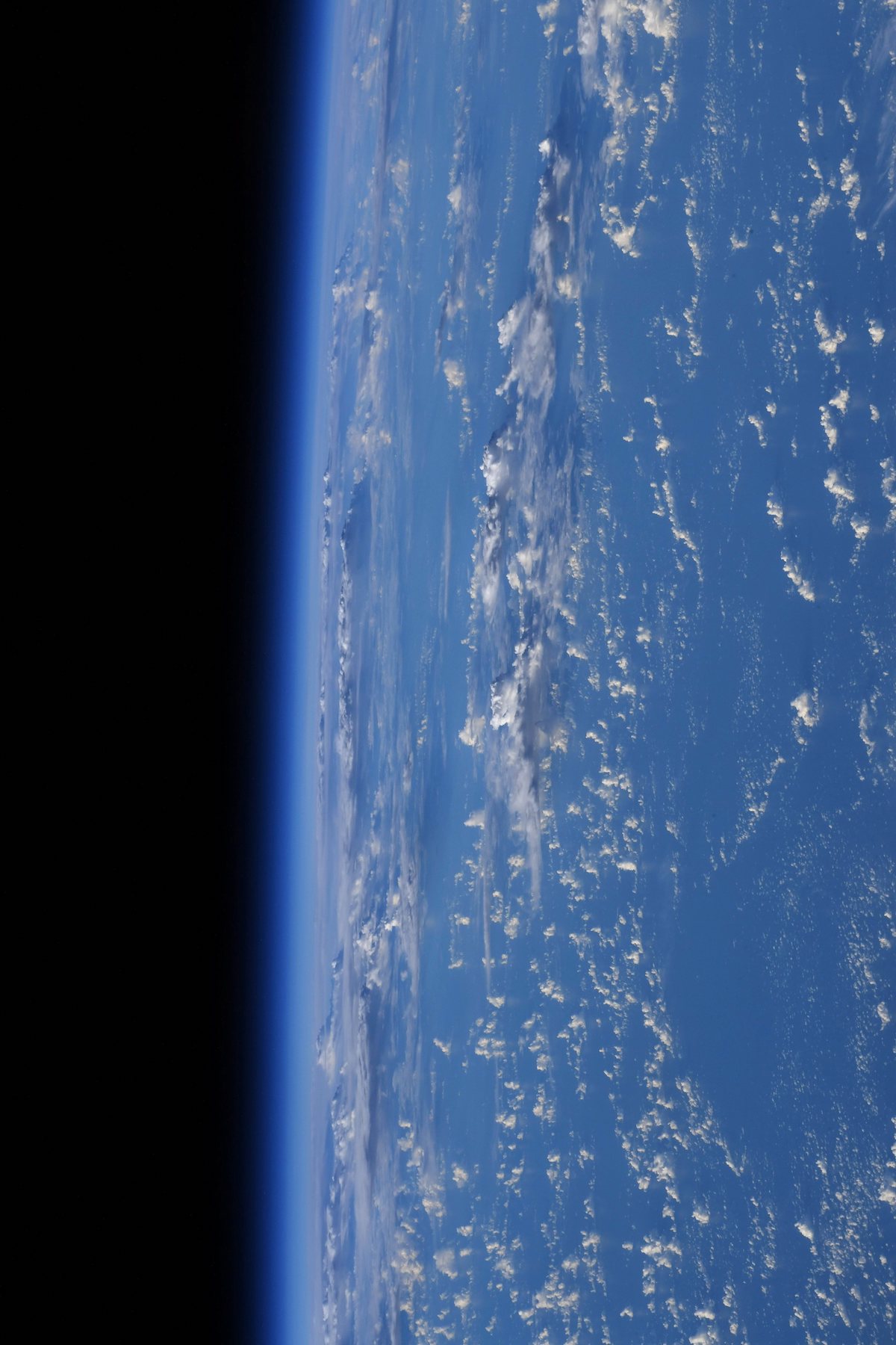 Bienvenue sur Thalassa