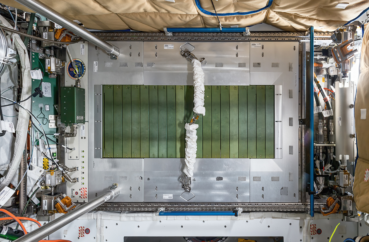 Iss Treadmill Un tapis de course appelé COLBERT – ISS NEWS