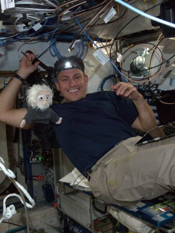 Une peluche illustre la pensée la plus heureuse d’Einstein